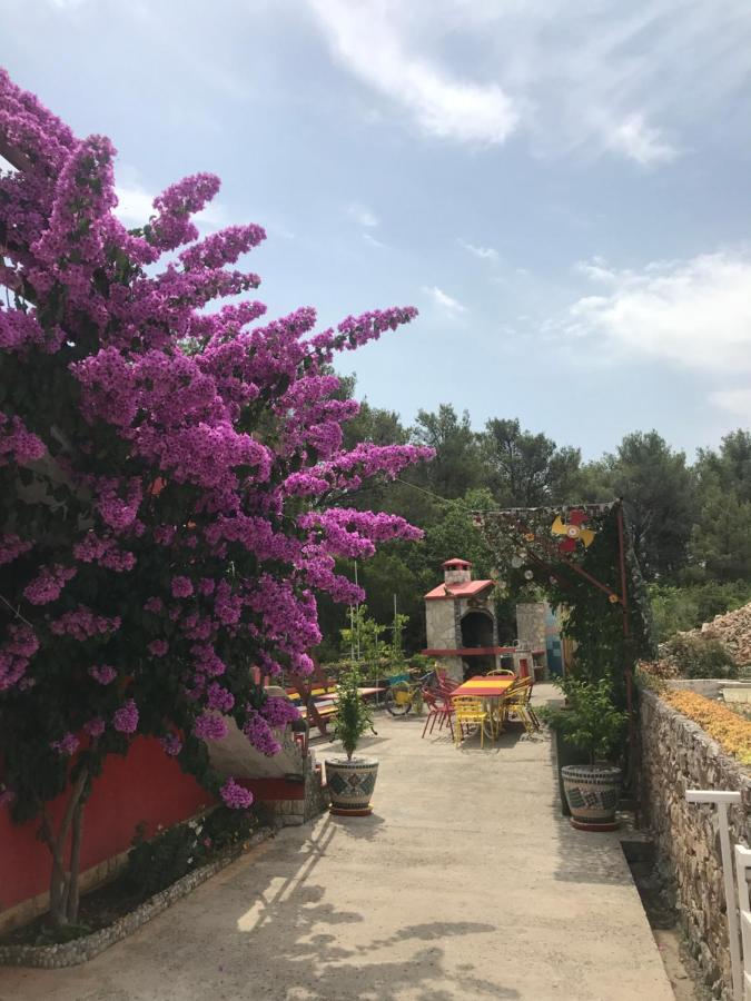 Lipovac Resort Ficus 빌리제 외부 사진